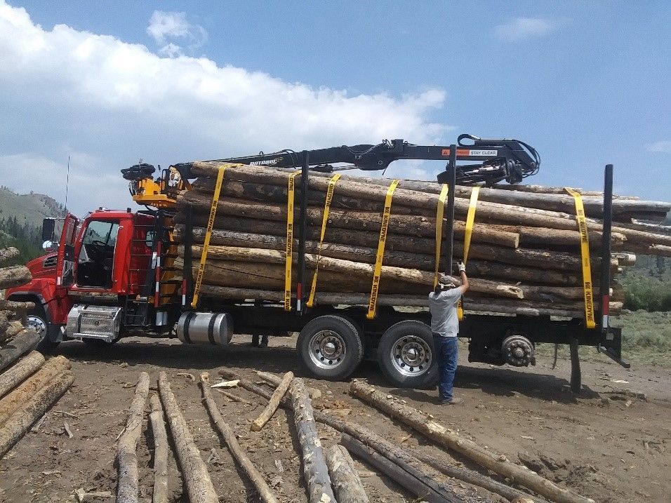 Southwest and the National Forest Foundation Collaborate on the Wood ...